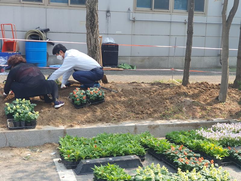 [크기변환]초화2.jpg 이미지